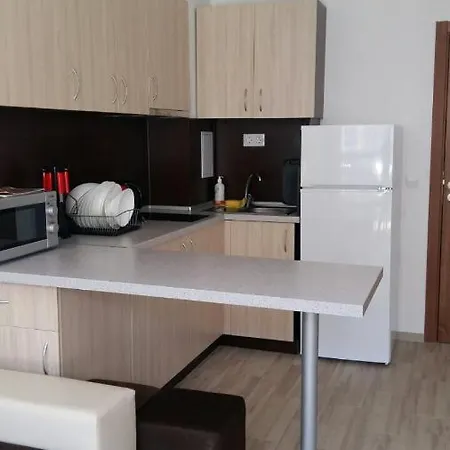 Большая Студия Apartman