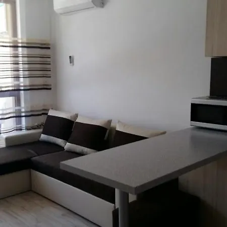 Большая Студия Apartment Sunny Beach